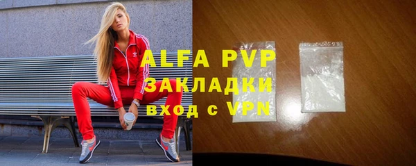 стаф Абаза