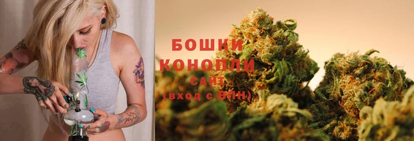 стаф Абаза