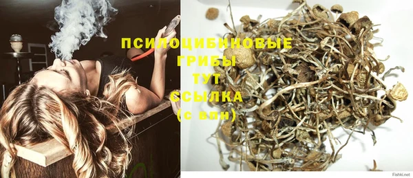 твердый Алзамай