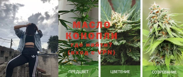 стаф Абаза