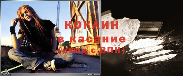 твердый Алзамай