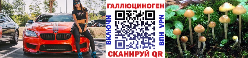 купить наркотики цена  мориарти формула  Псилоцибиновые грибы Psilocybe  Переславль-Залесский  mega сайт 